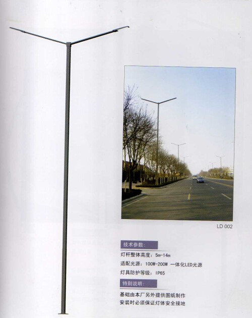 滨海校区路灯、庭院灯招标文件