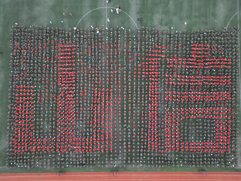 图片 8.png 图片 8.png